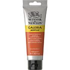 Winsor & Newton Galeria Acrylic Colour 120ml Cadmium Orange Hue