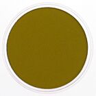 PanPastel Diarylide Yellow Extra Dark 250.1