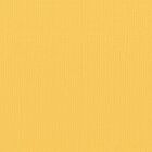 Florence cardstock texture 12x12" 216gram honey