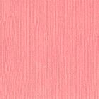 Florence cardstock texture 12x12" 216gram sweet