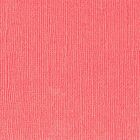 Florence cardstock texture 12x12" 216gram magnolia