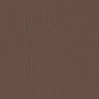 Florence cardstock texture 12x12" 216gram bear