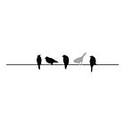 Penny Black BIRDS ON WIRE   