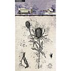 HE Clear Stamp Thistle Nature's Dream 2 nr.723