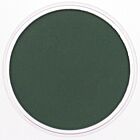 PanPastel Permanent Green Extra Dark 640.1