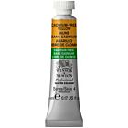 Winsor & Newton Professional Water Colour 5ml Cadmium-Free Yellow  