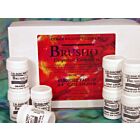 Brusho Starter Pack assortiment 12 kleuren