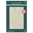 Spellbinders Fresh Picked Floral Frame 3D Embossing Folder (E3D-101)