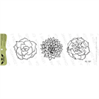 Lesia Zgharda Design Stamp Set "Succulents"