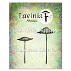 Lavinia Stamps Thistlecap Mushrooms Stamp 