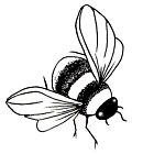 Lavinia clear stamp Mini Bumble Bee