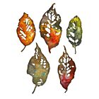 Sizzix Thinlits Die Set 5PK - Leaf Fragments Tim Holtz 665559