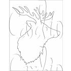 Card-io Stag 6" x 8" Majemask Stencil