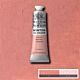 Winsor & Newton Winton Oil Colour 37ml Flesh Tint