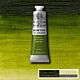 Winsor & Newton Winton Oil Colour 37ml Sap Green