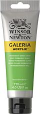 Winsor & Newton Galeria Acrylic Colour 120ml Permanent Green Light