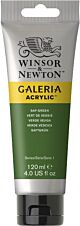 Winsor & Newton Galeria Acrylic Colour 120ml Sap Green