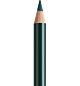 Kleurpotlood FC Polychromos 267 pine green