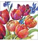 Servet 33x33cm Tulips of joy