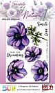 Studio EELZ Clear Stamps Secrets of Nature 1 Adorable Anemone