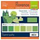 Florence cardstock 216g 12x12