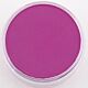 PanPastel Magenta Shade 430.3