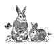 Crafty Individuals Two Happy Bunnies Unmounted Rubber Stamps (CI-644)