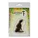 Lavinia Stamps Lupin Silhouette 