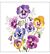 Servetten 5pcs / 33 x 33cm, Pansies