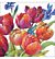 Servet 33x33cm Tulips of joy