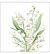 Servet 33x33cm Lily of the valley white