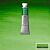 Winsor & Newton Professional Water Colour 5ml Hookers Green