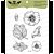 Lesia Zgharda Design Stamp set Mallow FL140